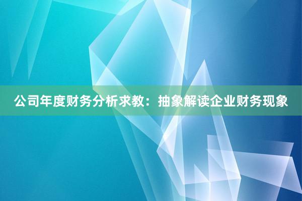 公司年度财务分析求教：抽象解读企业财务现象